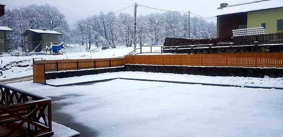 Дома для отпуска Bakuriani cottage 2020 Бакуриани-18