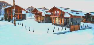 Дома для отпуска Bakuriani cottage 2020 Бакуриани Вилла с 2 спальнями-16