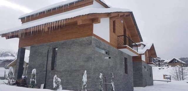 Дома для отпуска Bakuriani cottage 2020 Бакуриани-14